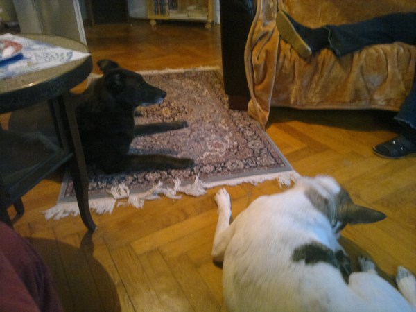 med_Bei mir zu Haus.jpg (600 x 450)